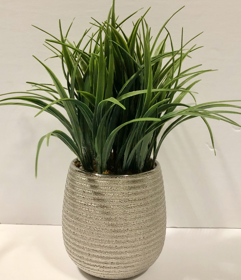 PL08-Plant, Grass in Chrome Pot – The Rental Dept