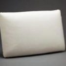 PS01-Pillow Insert, Standard Size