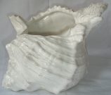 Bathroom, Shell, Vase Ceramic-Acc74