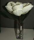 PL23-Single Silk Floral, Glass vase