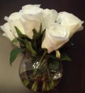 PL27-White Roses in gel, round glass vase