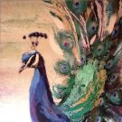 A111-Teal Peacock, Canvas, LRG