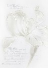 A116-White Iris & Quote, Canvas