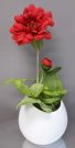 PL45-Red Flower stem in white pot