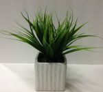 PL43-Grass in white ceramic vase