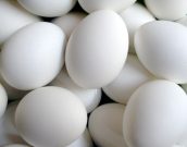 Kitchen, Pkg of dozen eggs-Acc094