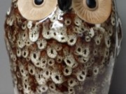 Decorative Owl, Tortoise Shell-Acc9917