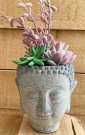 PL53-Buddah Head w/pink succulents