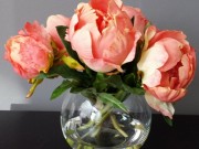 PL27a-Coral Flowers in gel, glass round vase