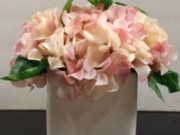 PL41a-Pink Hydrangea in white pot