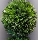 PL54-Topiary Tree, Double Ball, 24″h