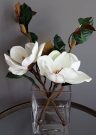 PL11-Magnolia Stems in gel, glass vase