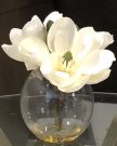 PL01a-Magnolias in round glass vase
