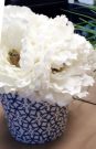 PL49a-Flowers, Blue & White Pot
