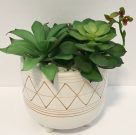 PL20c-Succulents, White Geometric Pot