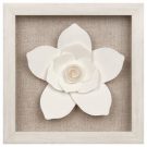A46c-White Paper Flowers, Framed