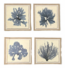 A109ee-Set of 4, Blue Coral, Drift Wood