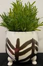 PL49b-Grass in brown & white pot