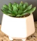 PL56b-Mini succulent, geometric pot, small