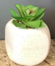 PL56a-Mini Succulent, rounded vase