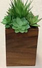 PL20e-Succulents in Wooden Box