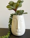 PL00-Succulents in White Face Vase