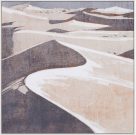 A07e-Grey Desert Sandhills, Framed