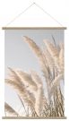 A100aa-White Pampas Grass, Pennant